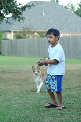 Growing, Playing and Learning...
