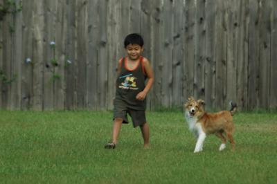 A Boy and His Dog...