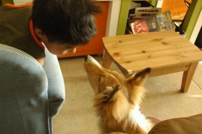 A Boy and His Dog...