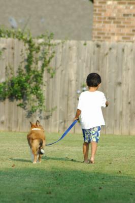 A Boy and His Dog...