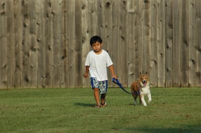 A Boy and His Dog...