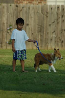 A Boy and His Dog...