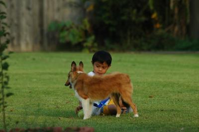 A Boy and His Dog...