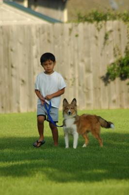 A Boy and His Dog...