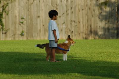 A Boy and His Dog...