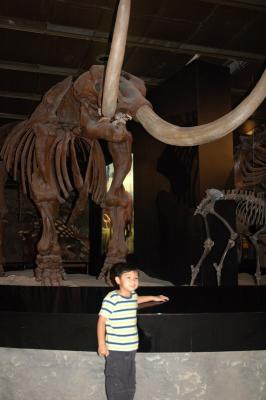 Lookit Dem BONES!!!
