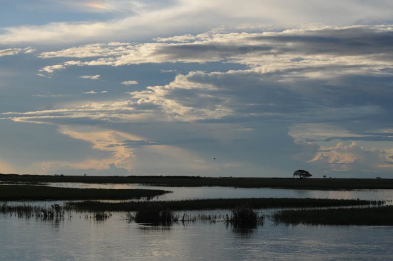 DSC_4453 okavanga.jpg