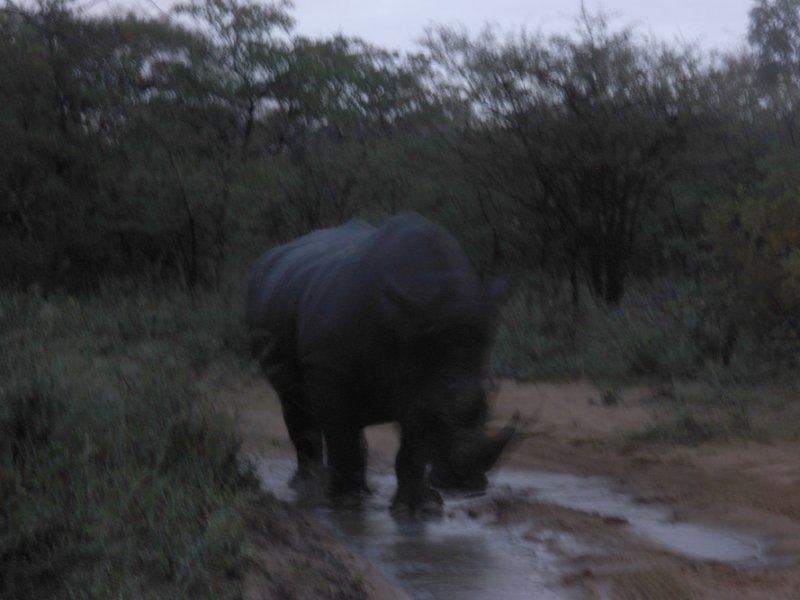 IMG_2447 roadblock.jpg