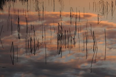 pink clouds in water.jpg