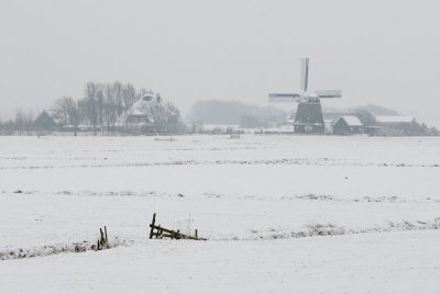  Winter   Windmill