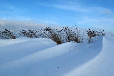 Snow-dunes