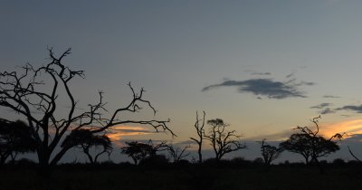 DSC_3280 Savuti72.jpg