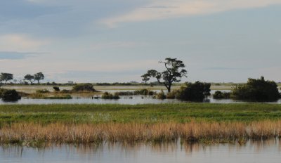 DSC_4447 caprivi 72.jpg