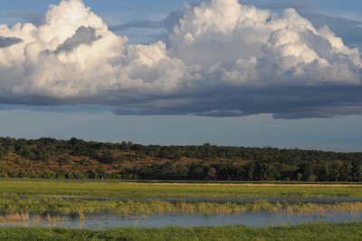 DSC_4450 chobe rive 72.jpg