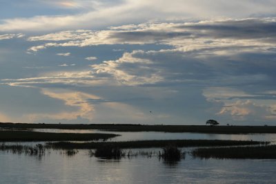 DSC_4453 okavanga.jpg