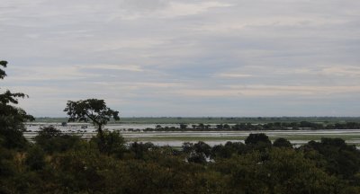 DSC_4456 chobe rive 72.jpg