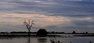 DSC_4658 chobe river 72.jpg