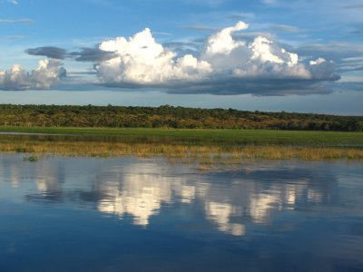 IMG_2476 chobe river.jpg