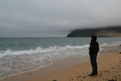Breidavik