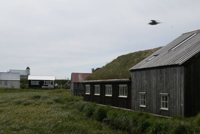 Flatey
