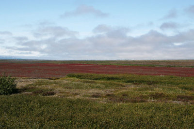 Around Husavik