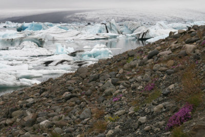 Jokullsarlon