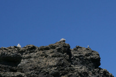 Around lake Myvatn