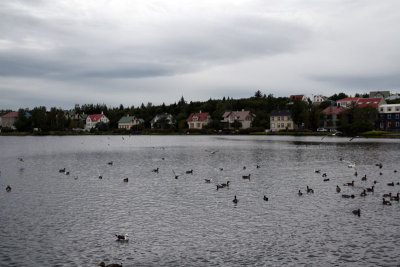 Reykjavik
