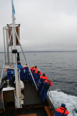 Whalewatching