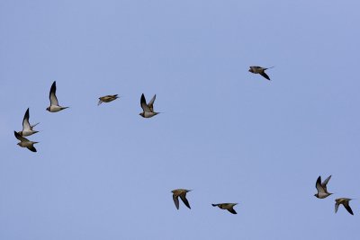 g3/62/742562/3/113045103.HSg60fyX.jpg