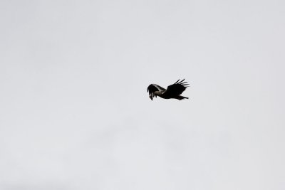 g3/62/742562/3/113045134.cnLwa6I8.jpg