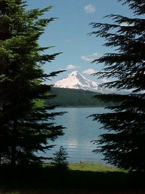 Mt Hood another view.jpg