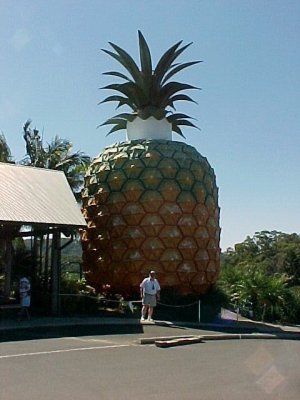 big pineapple.JPG