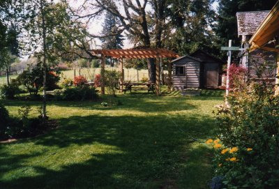 Our West Linn Back Yard