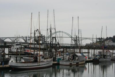 IMG_0677.JPG