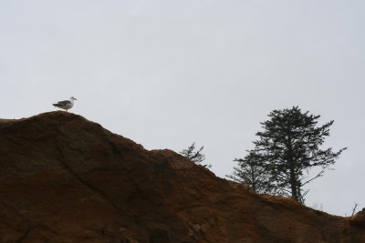 IMG_0772.JPG