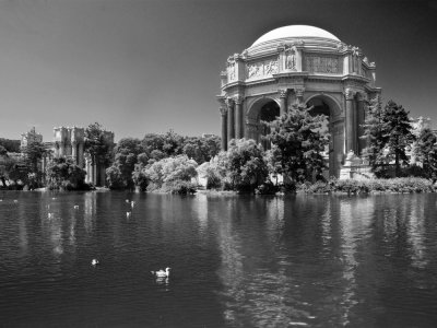 palace of fine arts