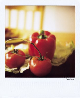 Tomatoes, Pepper and Lettuce