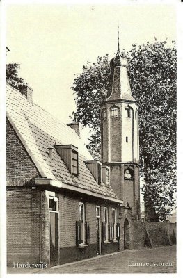 Harderwijk, Linaeustoren, circa 1960