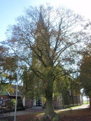 Westwoud, NH kerk2, 2007.jpg