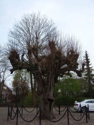 g3/62/794562/3/95851895.IGgessa7.jpg