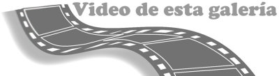 Corredor Verde del Guadiamar