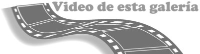 Camino de Santiago / Saint James's Route
