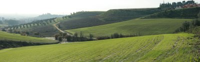 g3/62/802262/3/121357252.dCxLAheq.jpg