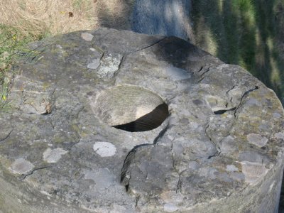 93NewcastlePulpstoneDetail.jpg