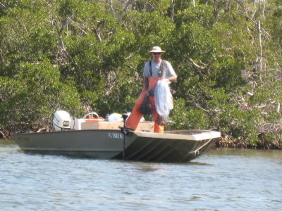 Local fishing for mullet, algae eating foodfish for everything larger