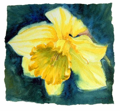 Daffodil_watercolour