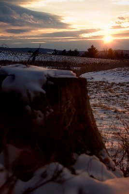 Cold Stump at Beautiful Sunset