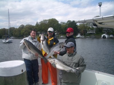 ED SHELLEMAN AND FRIENDS