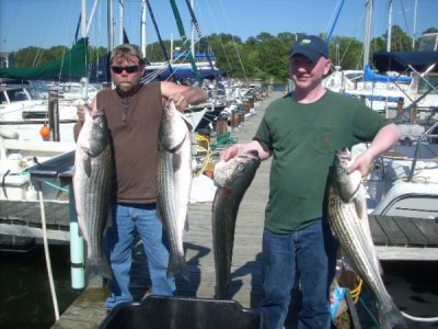 2010 ROCKFISH